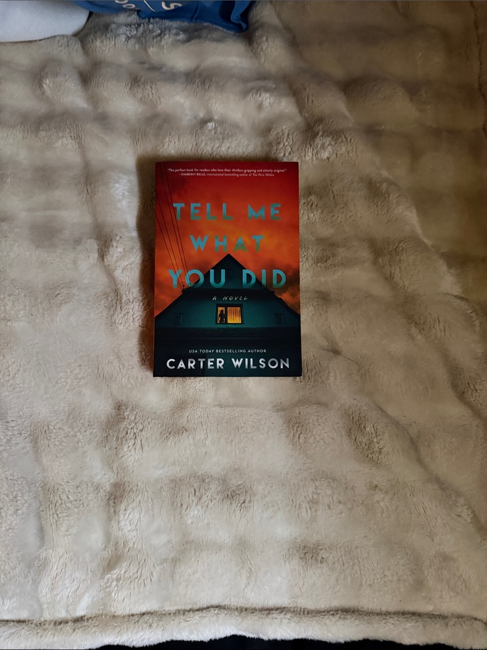 Tell Me What You Did - Carter Wilson